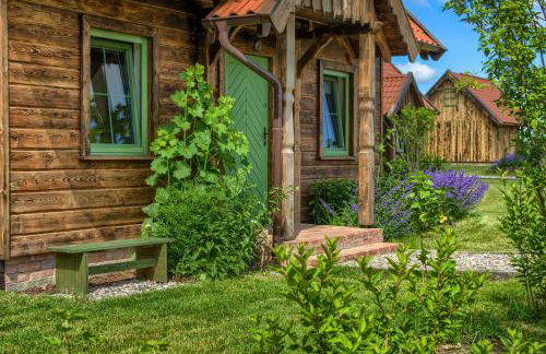 Zielone Ławki - Foto 22