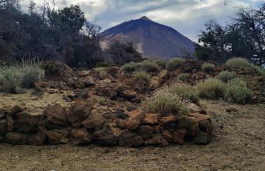 Benavides 5 - Foto 41