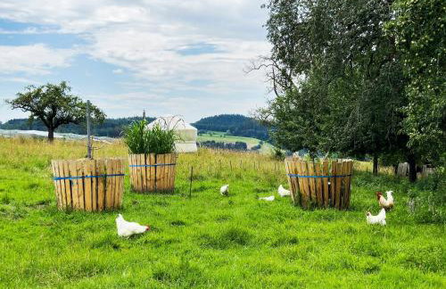 Hof Sinnenberg - Photo 9