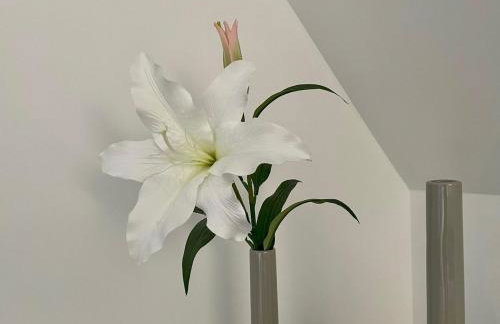 Ruhiges Gästehaus - 120qm - Garten - 1A Lage - Foto 30