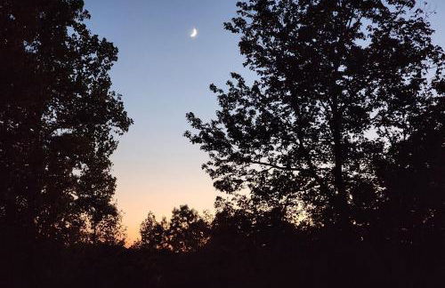 Solar powered log cabin with mountain views, 3acres - Foto 18