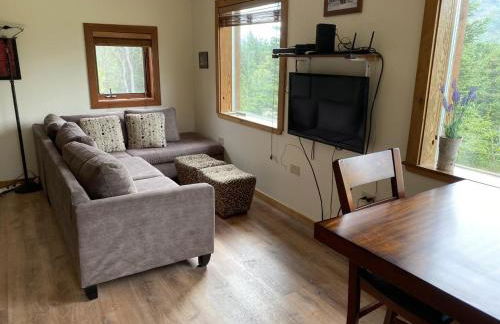 Denali Park View House - Photo 25