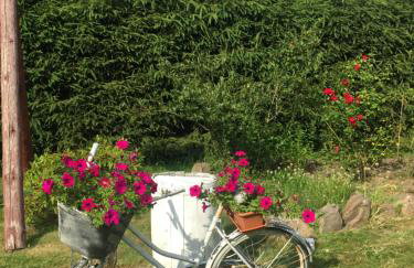 Dom w Sąpach - Foto 67