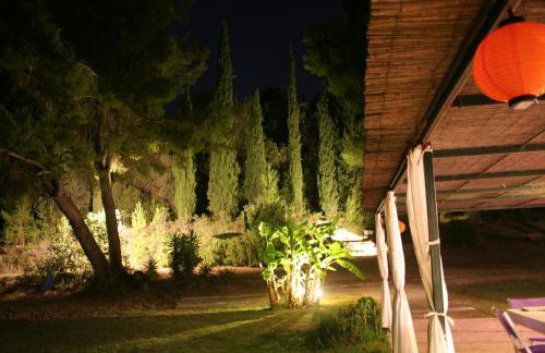 Terry Land Village - Foto 14