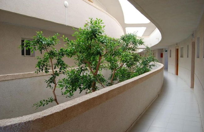 Apartamentos Palmera Beach - Foto 19