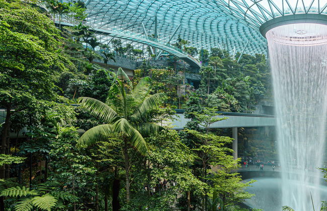 Entrada al Canopy Park del aeropuerto de Singapur - Foto 1