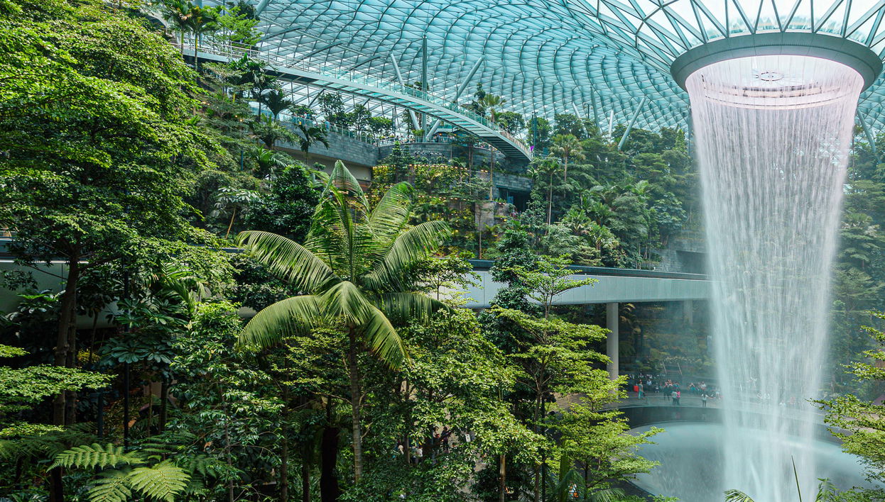 Canopy Park Ticket - Foto 1, Canopy Park Ticket