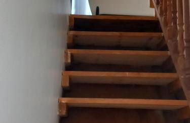 le petit bambou - Foto 14