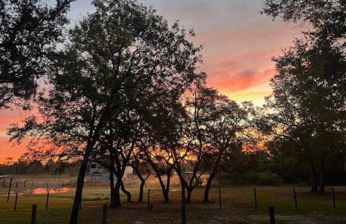 DeLand Dome House- 98 Inch TV - Open Kitchen - Near Bridle Oaks - Photo 41
