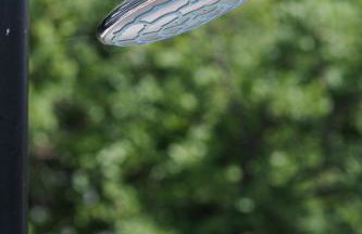 "Golden Sky"Rooftop Pool Villa - Photo 50