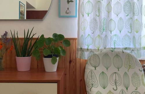 Casa Sisù-Appartamento immerso negli ulivi - Foto 8