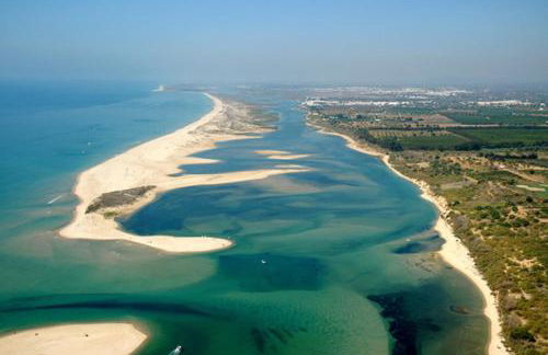 Flamingo Beach House - Foto 30