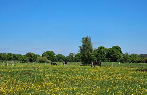 Ferienhaus Fehntraum - Entdecke Ostfriesland - Foto 25