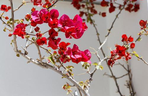 Sunny Penthouse For balcony lovers - Foto 15