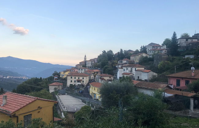 Serena (COX100) - Foto 13