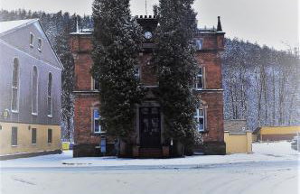 Kot Pocztowy - Foto 77