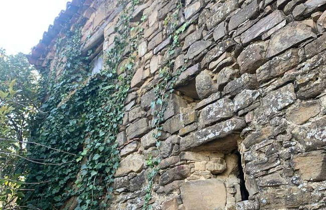 Visite guidée dans Prignano Cilento - Photo 5