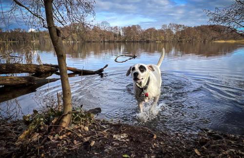 The House Stiller Grund - Foto 26