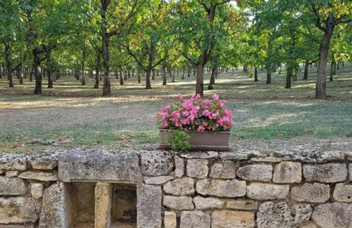 Maison de Charme avec Jardin à Jayac - FR-1-616-465 - Foto 21