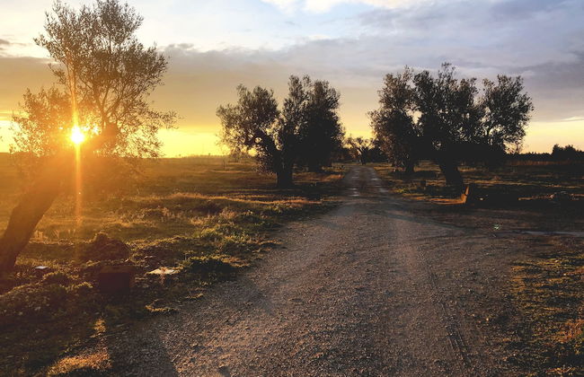 Resort Fonte Vulci - Foto 53