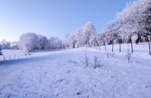Gîte du Tilleul - Foto 43