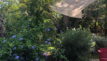 Maison bois 10 pers CapFerret Plage des Américains - Foto 5