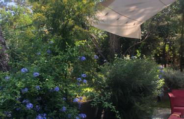 Maison bois 10 pers CapFerret Plage des Américains - Foto 5