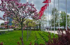 Gael Stary Rynek 1 - Foto 63