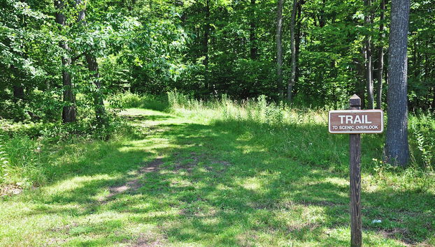 Black Swan by Taylor Made Deep Creek - Foto 5, Servicios del alojamiento