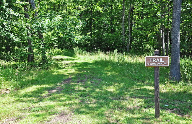 Play-a-way Chalet by Taylor Made Deep Creek - Photo 44