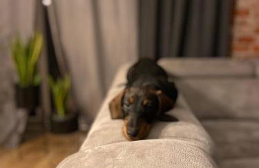 Dom nad jeziorem - Foto 34