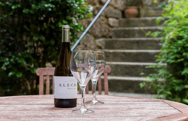 Pazo dos Ulloa - Photo 26