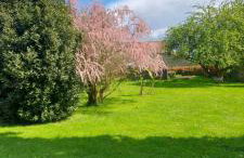 Crisoline - Foto 25
