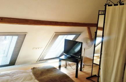 Bio-Ferienwohnung Bodensee Haus Franziskus - Foto 14