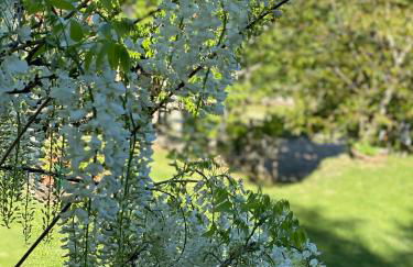 Agriturismo Attulaio - Foto 42