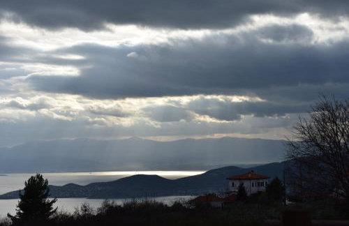 Petrichor houses - Foto 66