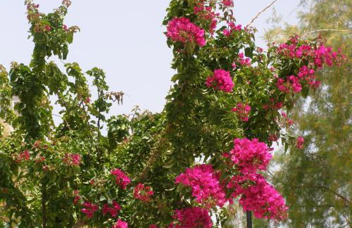 Doll house next to the sea - Foto 58