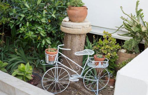 Sea Daffodil Apartments - Foto 17