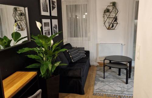 Apartament Studio - Foto 1