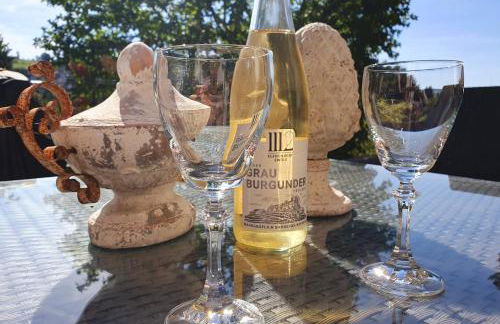 2 Zimmer Domizil am Südhang mit Terrasse und Pool - Foto 24