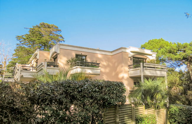 La Pomme de Pin - Photo 17