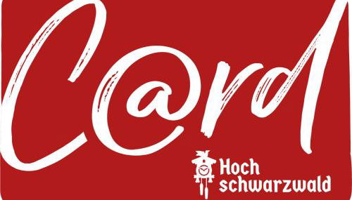 Ferienwohnung Passhöhe - Familien- Wander- und Skiurlaub - Hochschwarzwaldcard - Haus Wiesenquelle - Foto 3