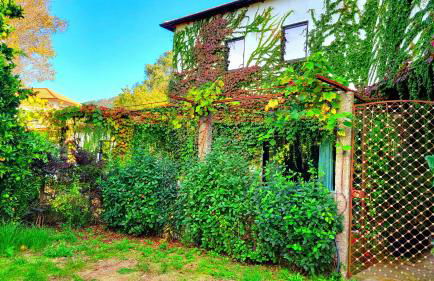 Villa Cornelia, Ponte de Lima - Foto 78