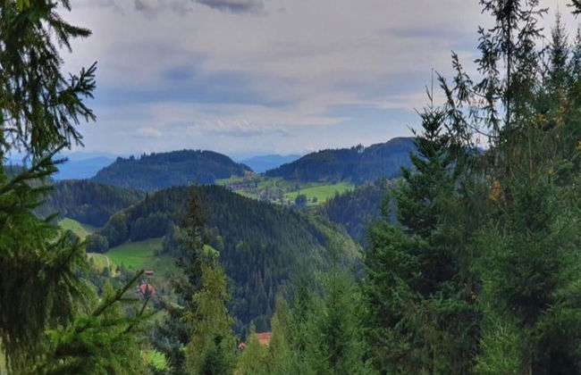 Apartment in Kleines Wiesental - Foto 33