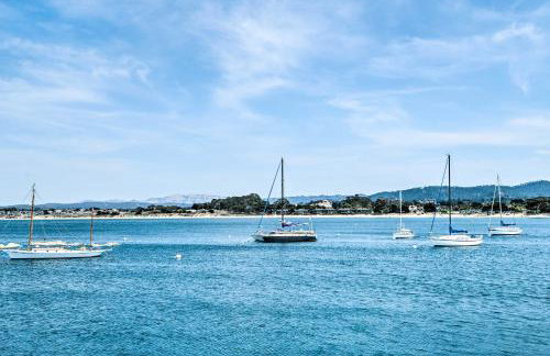 Cozy Monterey Apartment - Walk to Wharf and Dtwn! - Foto 21