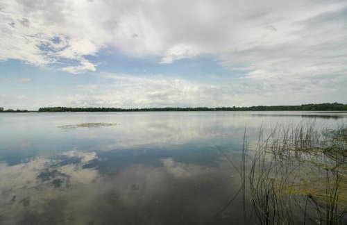 Pet Friendly Lakefront Home Dock, Kayaks and More! - Foto 38