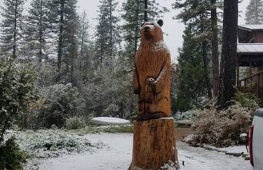 Uncle Grizz's Cabin...get intouch with nature - Foto 34