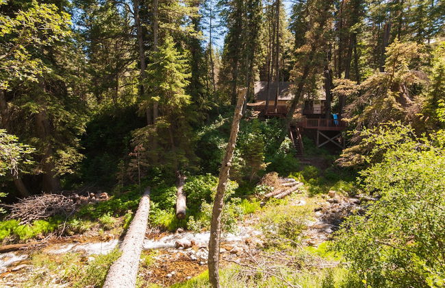 Hideaway Above The Stream - Photo 20