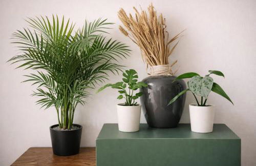 Green Plants 24 7 Check In 4 Persons - Foto 37