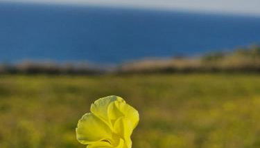 Bouro's Cliff - Foto 3